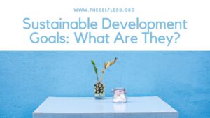 What are Sustainable Development Goals?