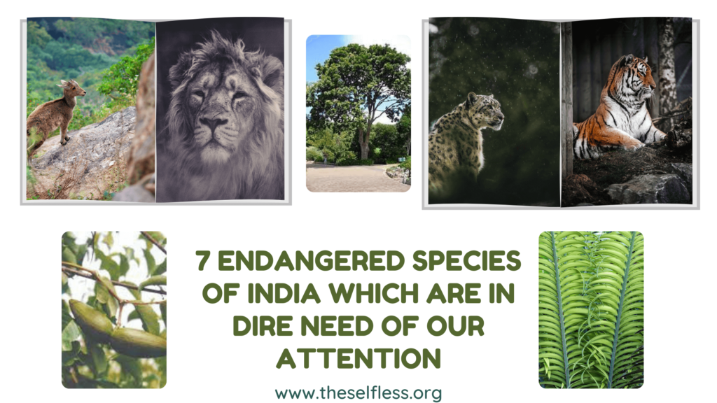 Endangered-Species