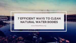 clean-natural-water-bodies